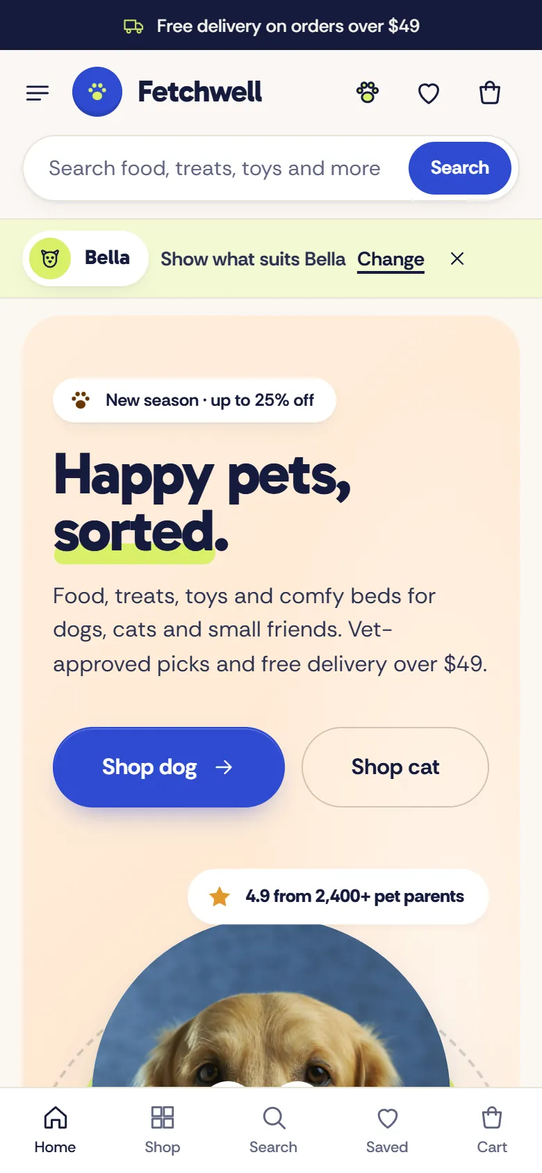 Fetch home page on a phone